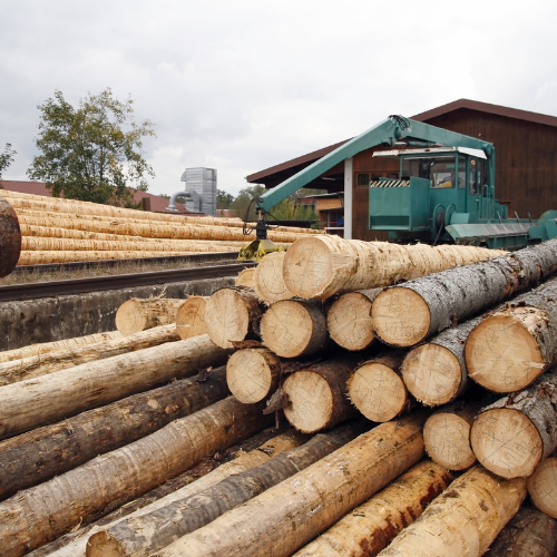 Tartak Nowy Sącz Marek Gołyźniak
